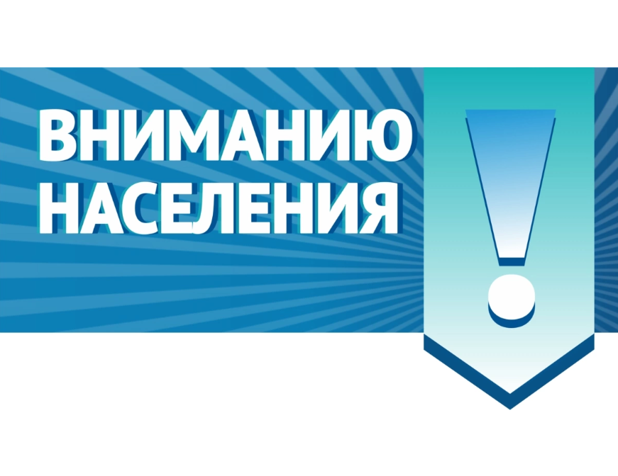 С 1 января 2025 г. вступают в силу положения Лесного кодека РФ.